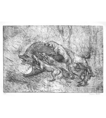 Caccia al cinghiale